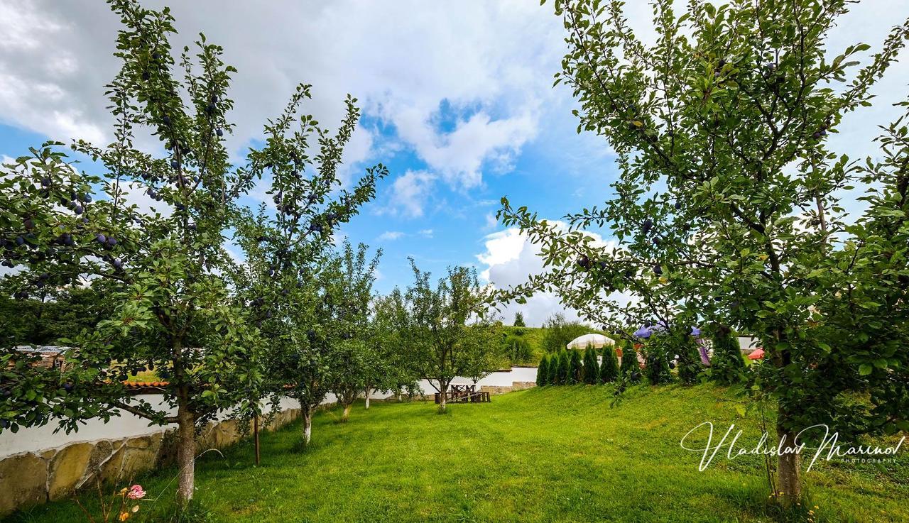 Bachvarovi Villas Tryavna Bagian luar foto